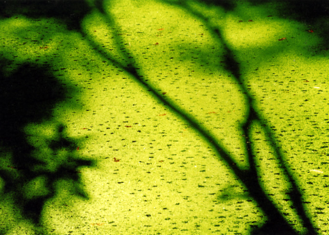 風景写真など 13