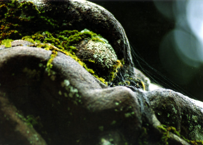 風景写真など 15