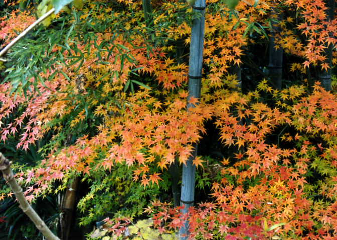 風景写真など 19