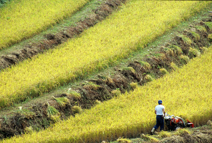 風景写真など 22