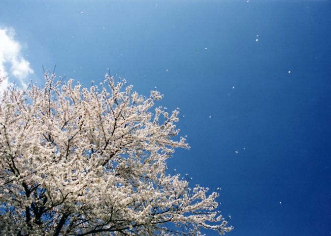 風景写真など 25