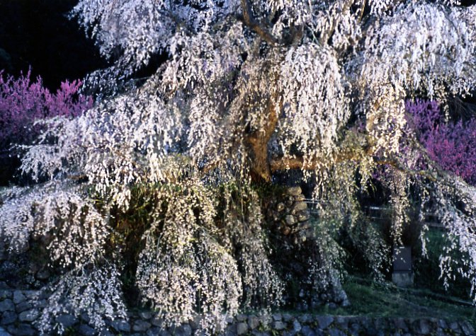 風景写真など 26