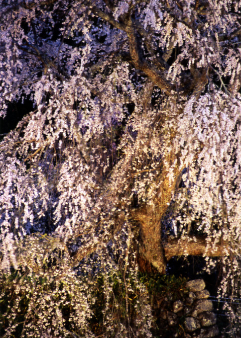 風景写真など 27