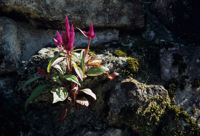 風景写真など 28