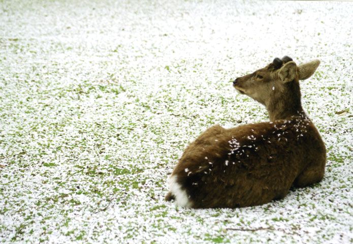 風景写真など 29