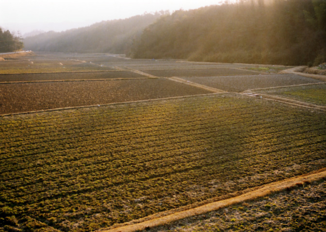 風景写真など 32
