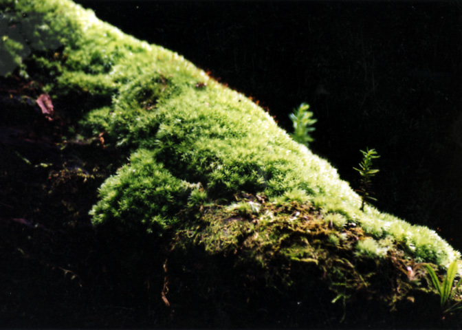 風景写真など 34