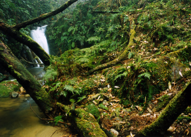 風景写真など 41