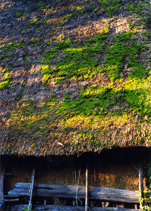 関西の茅葺民家 11