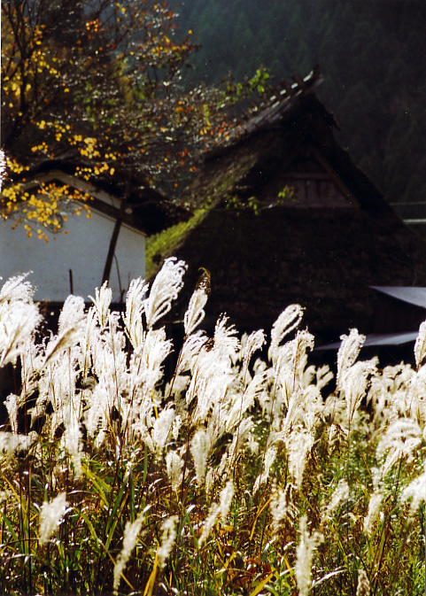 関西の茅葺民家 13
