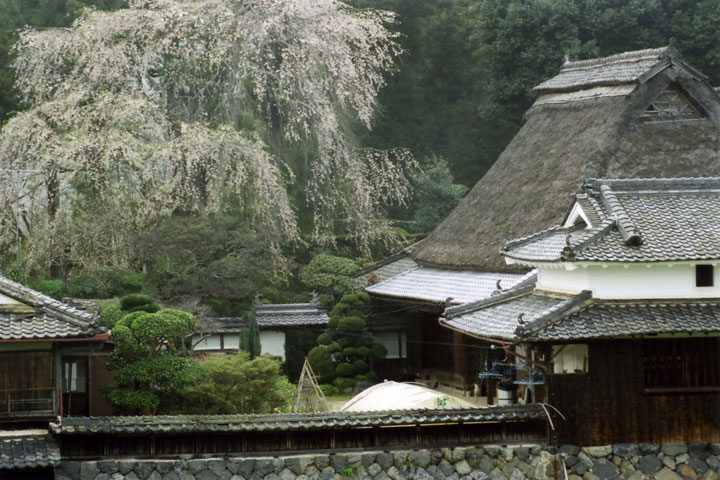 関西の茅葺民家 35