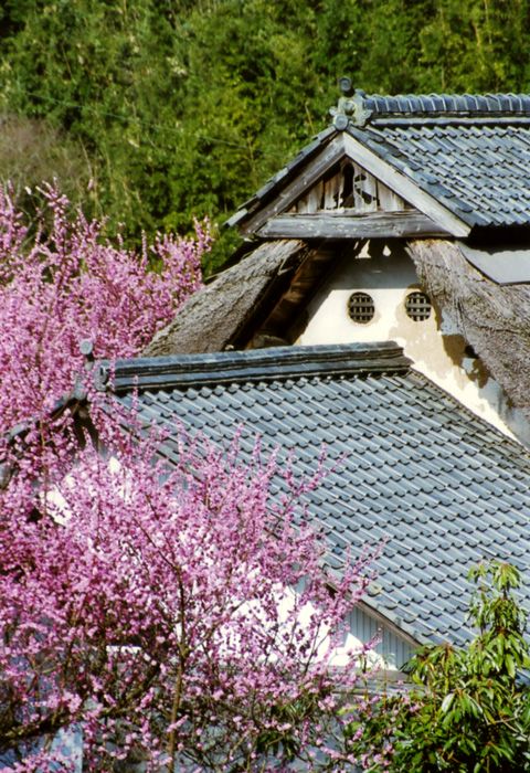 関西の茅葺民家 40