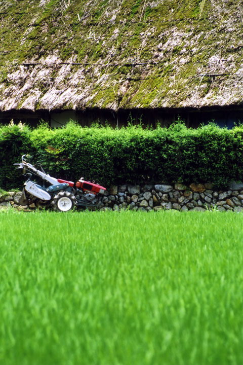 関西の茅葺民家 50
