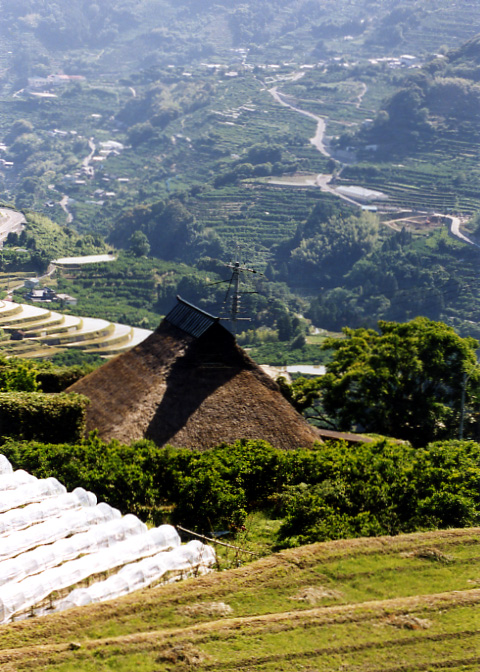 関西の茅葺民家 55