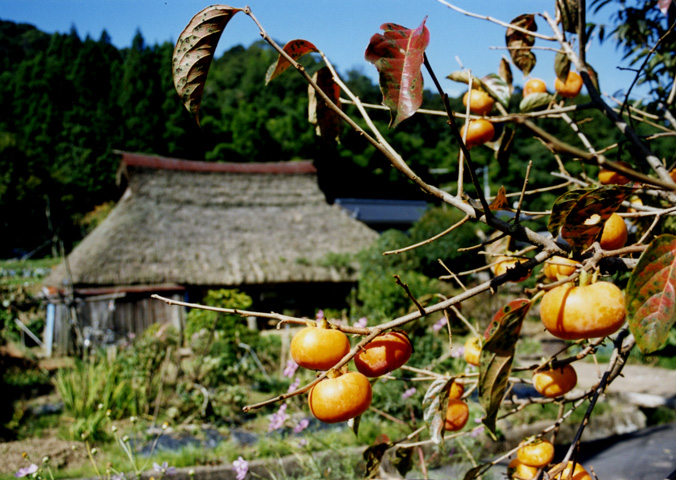 関西の茅葺民家 57
