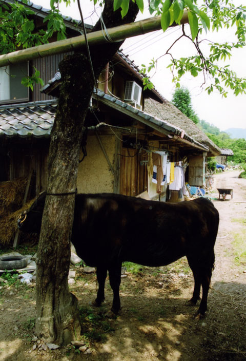 関西の茅葺民家 64
