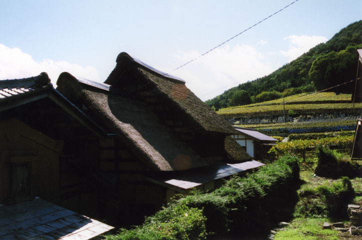 関東の茅葺民家 10