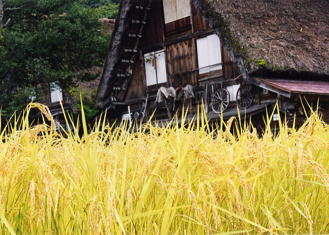 中部・北陸の茅葺民家 1