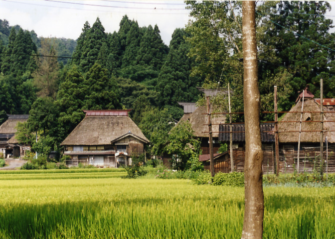 中部・北陸の茅葺民家 10