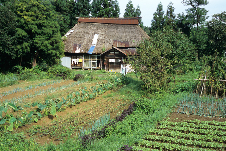 中部・北陸の茅葺民家 17