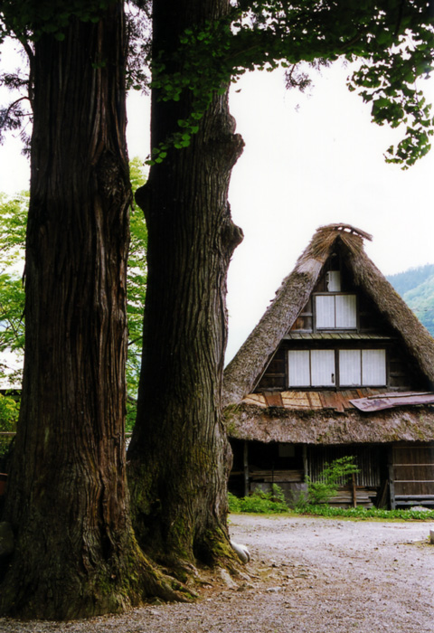 中部・北陸の茅葺民家 2