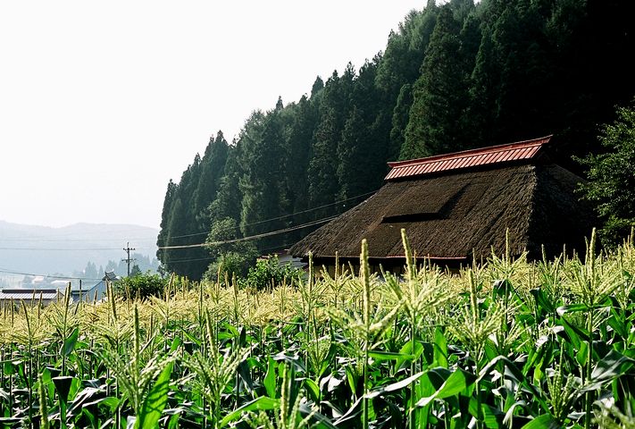 中部・北陸の茅葺民家 26