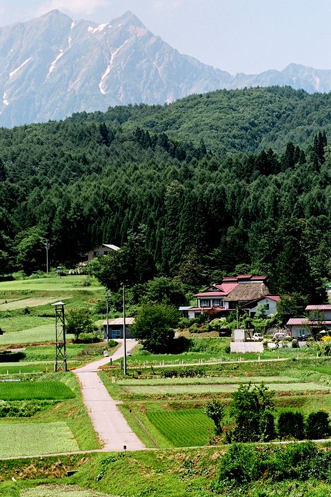 中部・北陸の茅葺民家 27