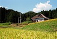 東北の茅葺民家 33