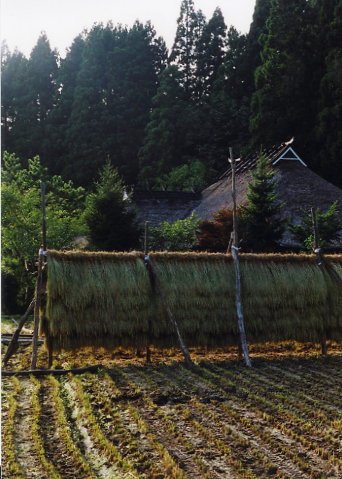 東北の茅葺民家 2