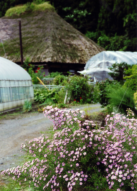 東北の茅葺民家 20