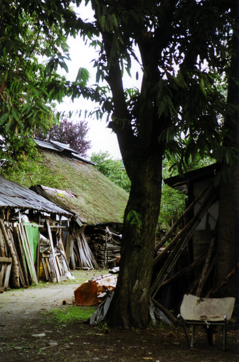 東北の茅葺民家 31