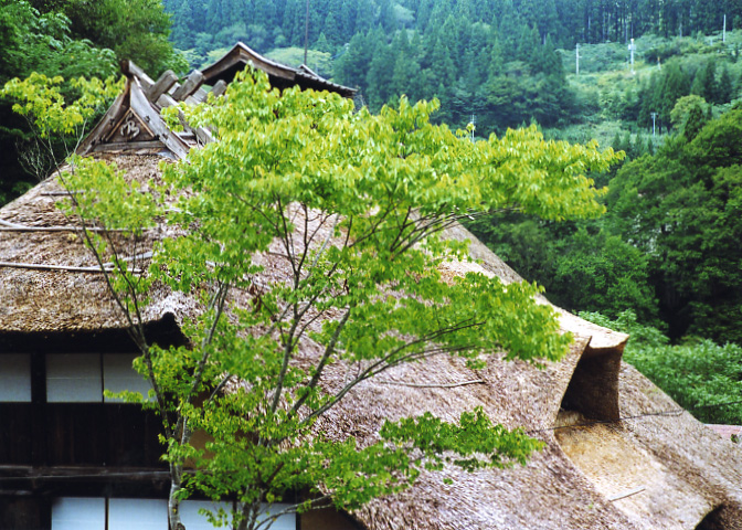 東北の茅葺民家 32