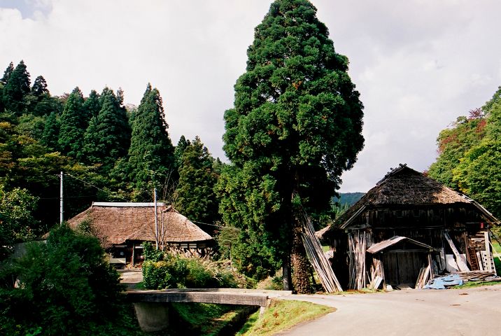 東北の茅葺民家 47