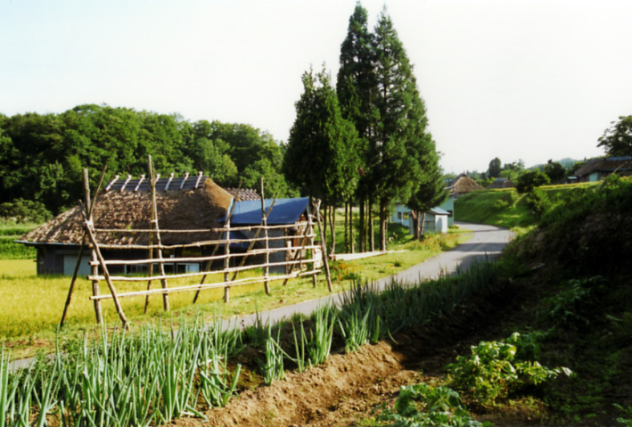 東北の茅葺民家 6