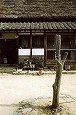 中国・四国の茅葺民家 17