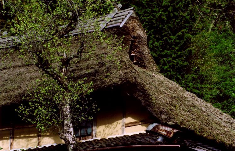 中国・四国の茅葺民家 13