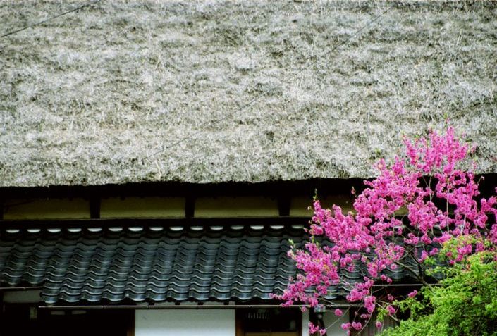 中国・四国の茅葺民家 22