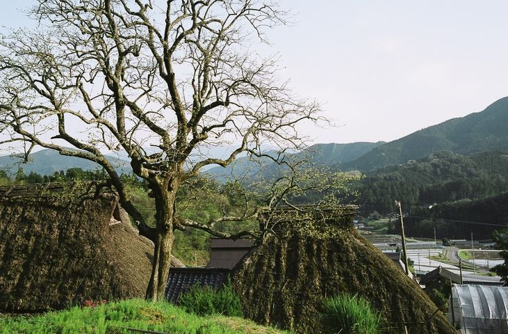 中国・四国の茅葺民家 26