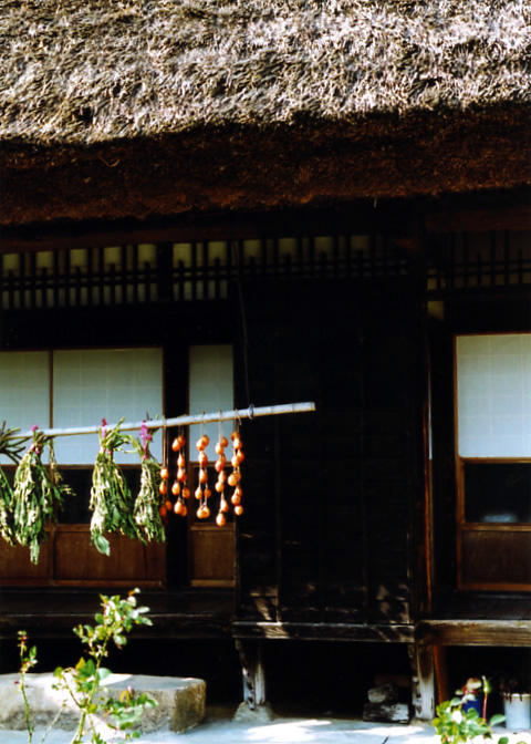 中国・四国の茅葺民家 4