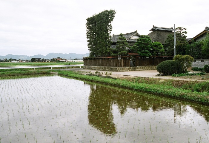 中国・四国の茅葺民家 42