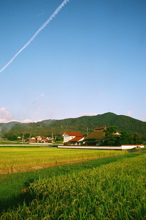 中国・四国の茅葺民家 44