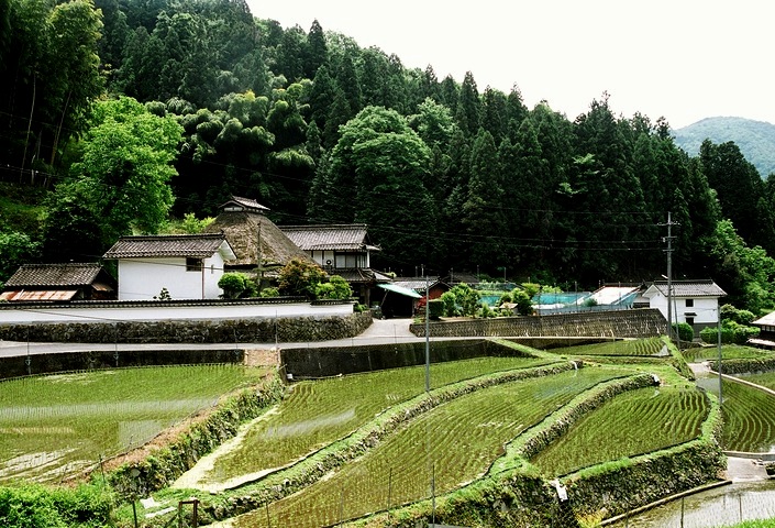 中国・四国の茅葺民家 45